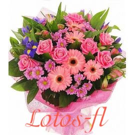 Звездный час